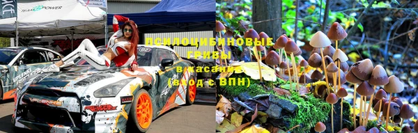 стафф Новокубанск