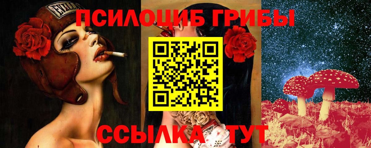 Псилоцибиновые грибы MAGIC MUSHROOMS Майкоп