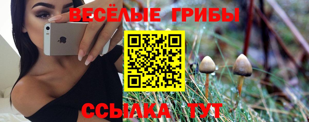 Галлюциногенные грибы Cubensis  Галлюциногенные грибы Psilocybe  где купить наркоту  Вход с VPN  Майкоп 